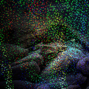 SLEEKpro Milkyway (C) Holographic Cast Film 12.6" x 984' x 3" Core A/I